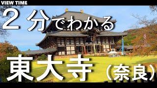 【２分で解説】東大寺　奈良旅行　大仏が有名な鹿に囲まれた世界遺産。見どころ紹介（南大門　金堂：大仏殿）歴史もちょこっと。