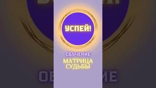 Онлайн школа Матрица Судьбы. Успей! Обучение Матрице 2024. Нумерология. Наставник Татьяна Дивия.
