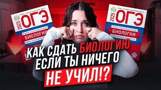 Я ничего не учил! / Как сдать ОГЭ по биологии на 5 за 2 месяца?