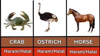 haram animals to eat | haram animals meat in islam #haram #edu4all