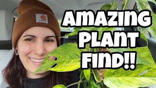 I WAS NOT EXPECTING THIS!  Plant Shopping at Osborne's Farm & Garden Center in Laconia, NH