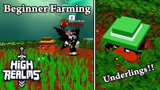 Building a Beginner Farm! High Realms (Closed Beta) Roblox