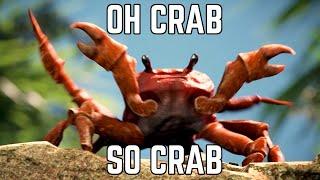 Oh Crab So Crab still plays rent free in my head | Limbus Company Crab Intervallo