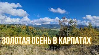 VLOG #8 Осень в Карпатах