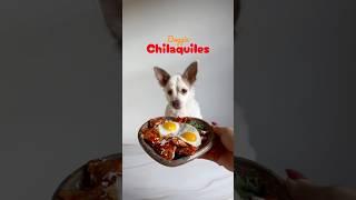 Dog Friendly Chilaquiles ️  #chilaquiles #dogrecipes #cookingformydog #shorts #dog