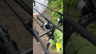 Daiwa Infinity Rods & Reel set #fishingporn #daiwa