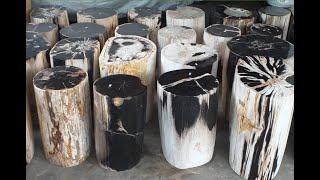 Petrified Wood Stools for Sale