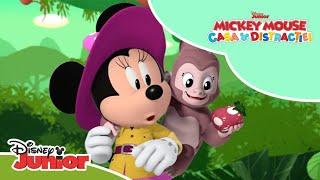  Înapoi în pădurea fermecată | Mickey Mouse: Casa distracției | Disney Junior România