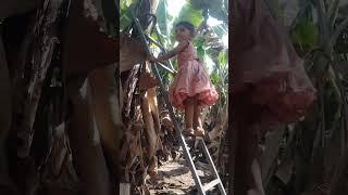 dnyaneshwari kelichya ranat kam krte# sherkari dada# short video # Short viral # short feed