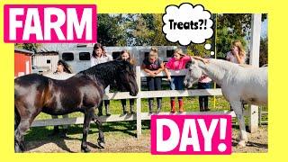 SPEND A MORNING ON A HORSE FARM|Barn Chores & Cleaning