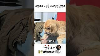 이빨 날리다 0.1초 전에 급 태세 전환.