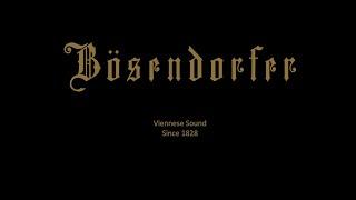 Gesangssoirée @ Bösendorfer Salon