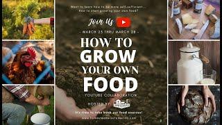 How to GROW Your OWN FOOD Series | INTRO