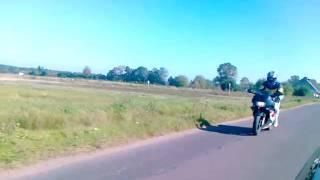 honda CBR 600