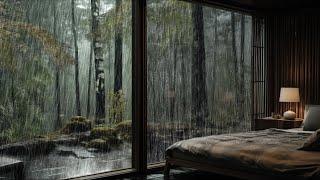 Gentle Rain Sound on the forest | Rain sounds for sleep, study and relax