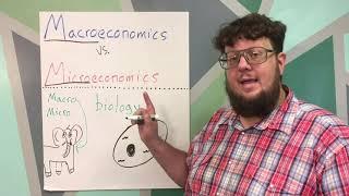 Macroeconomics Vs Microeconomics Explained in Two Minutes