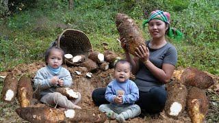 Harvest wild tubers to sell at the market - cook fish and wild tubers for your children to eat