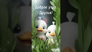 Доброе утро, Друзья! Прекрасного Вам дня!