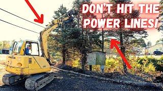 These Pine Trees are No Match for this Excavator! (Knights of Columbus job)