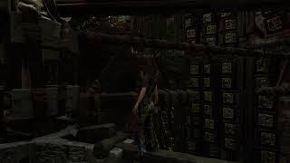 Bloquer/20  Shadow of the Tomb Raider