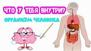 Организм ЧЕЛОВЕКА. Что у тебя внутри?