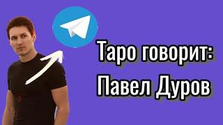 Таро говорит: Павел Дуров