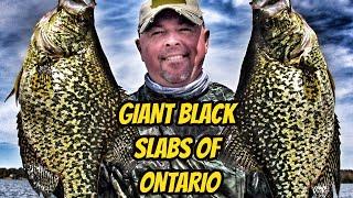 GIANT BLACK CRAPPIE OF ONTARIO- Full length eps.