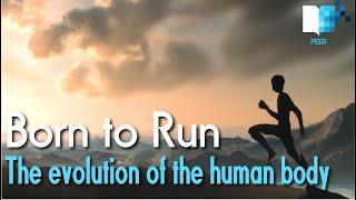 "Born to Run" | How Our Bodies Have Evolved to Walk Far (& Fast)