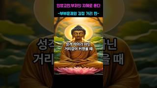 인생고민 부처님의 지혜로 듣다-부부문제와 감정 거리편- 제3화 성격차이가 아닌 거리감이 커졌을때  #부처님말씀 #명언 #자기수행 #부처님가르침 #인생고민 #삶의고민  #격언 #수행