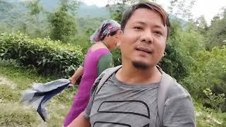 Short Vlog ॥ Mini Vlogs ॥ Village Vlog ॥ Santosh Thapa