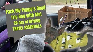 Vlog & Pack My 6 month old Puppy's Road Trip Bag with Me! Long Roadtrip Essentials 