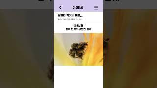 꿀벌의 짝짓기 비밀..#shorts #웃긴영상 #짤