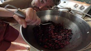SAVOR THE HARVEST: HAND PICKING BLACKBERRIES AND AARONS HOW-TO ON WINE MAKING