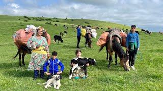 Amazing Migration of Nomads to Mountains and Green Meadows