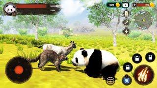 The Panda Simulator (by Wildlife) - Funny Panda Android Gameplay #2 | Dishoomgameplay