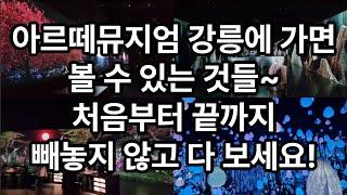 아르떼뮤지엄 강릉에 가면 볼수있는것들  처음부터끝까지 빼놓지 않고 다 보세요