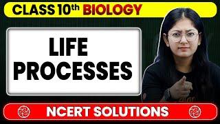 Life Processes - NCERT Solutions | Class 10 Biology Chapter 5 | Board Exam 2025 | Khushboo Mam