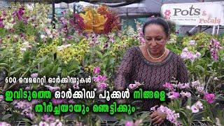 ഇത്രയും ഓർക്കിഡ് പൂക്കൾ കേരളത്തിലോ ?? Amazing Orchid Garden Kerala I Pots And Petals Orchid Farm