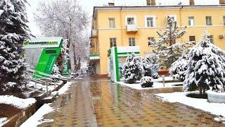 The Chilling Beauty of Tashkent's Snowfall