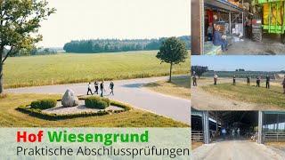 Praktische Abschlussprüfung - Landwirt - auf dem Hof Wiesengrund