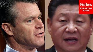 'I'm Pleased To Report That The CCP Has Made A Serious Miscalculation': Todd Young