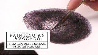 Painting an Avocado⎮Billy Showell's School of Botanical Art