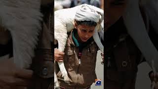 Eid-ul-Adha Without Sacrifice? Morocco Appeals to Citizens | Geo Digital