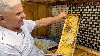 Beekeeping in early August