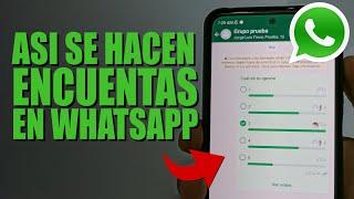 COMO HACER ENCUESTAS EN WhatsApp