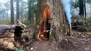 Bushcraft SURVIVAL Camping; Building a Warm Secret Shelter deep inside a Great OAK Tree, Fireplace