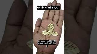 ॐ नमः शिवा #shorts #shiv #bholenath