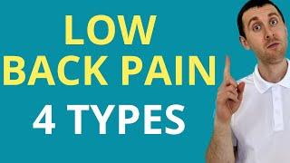 4 Low Back Pain Types | Aleks Physio