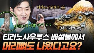 [#벌거벗은세계사] 티라노사우루스가 공룡계 최상위 포식자인 이유 머리뼈째 씹어 먹는 티라노사우루스의 무시무시한 이빨 때문에!