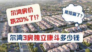 尔湾房价真下跌了20%？市场有便宜可捡吗？尔湾3房独立康斗多少钱？出租房交房后需要维修怎么处理？租客对老华人区和尔湾对比｜美国房产投资｜加州房产投资｜尔湾房产投资｜美国房价｜海纳愚夫｜海纳地产